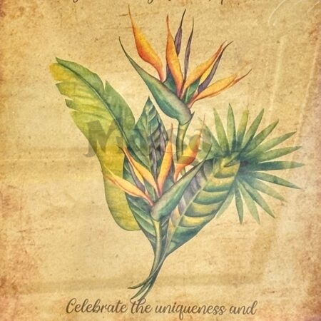 🖼️Bird of Paradise