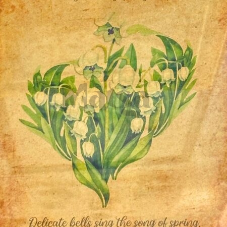🖼️Lily of the Valley